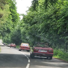 Plateau-de-Gergovie-2