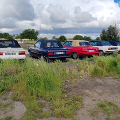 Plateau-de-Gergovie-97
